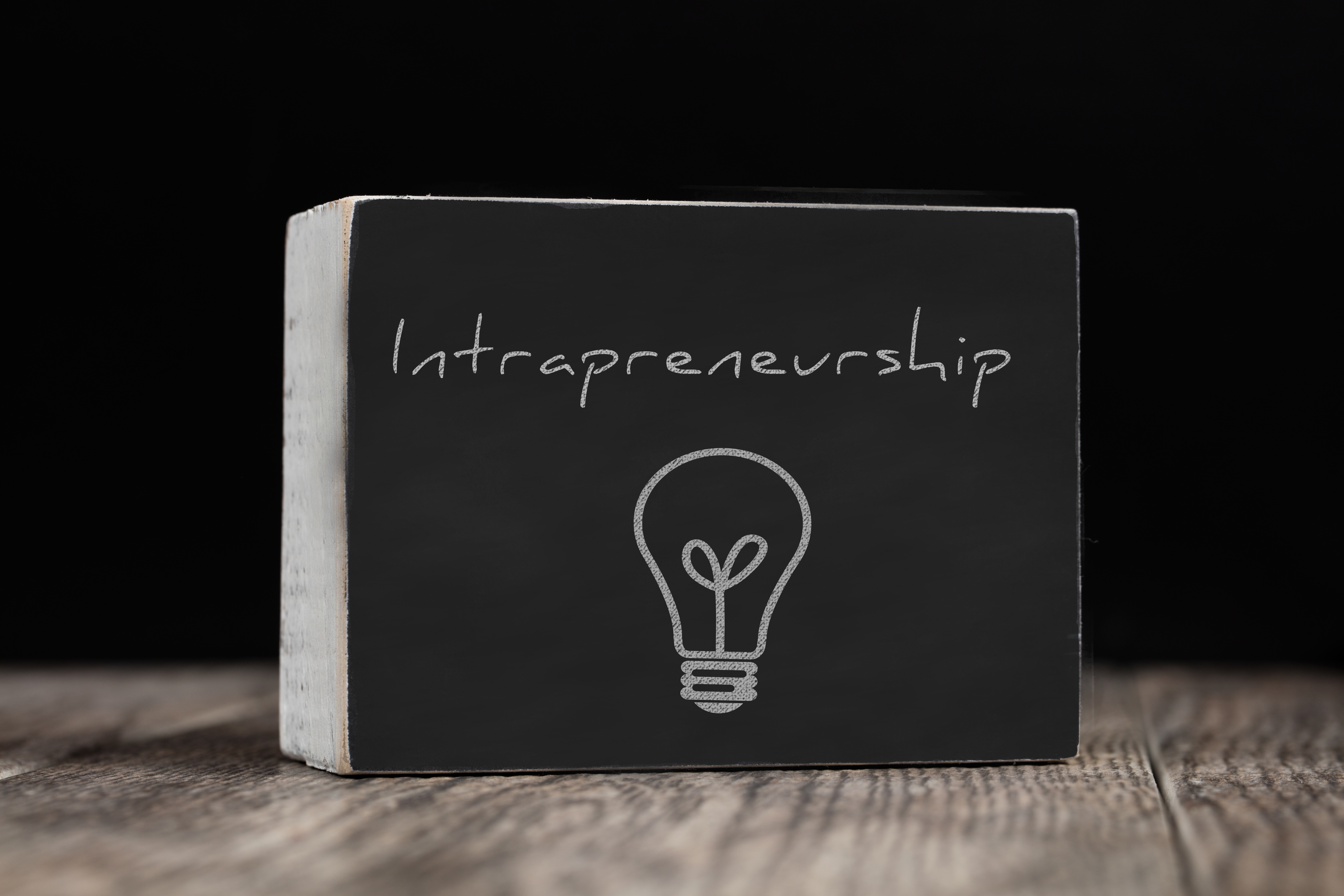 Entrepreneurship
