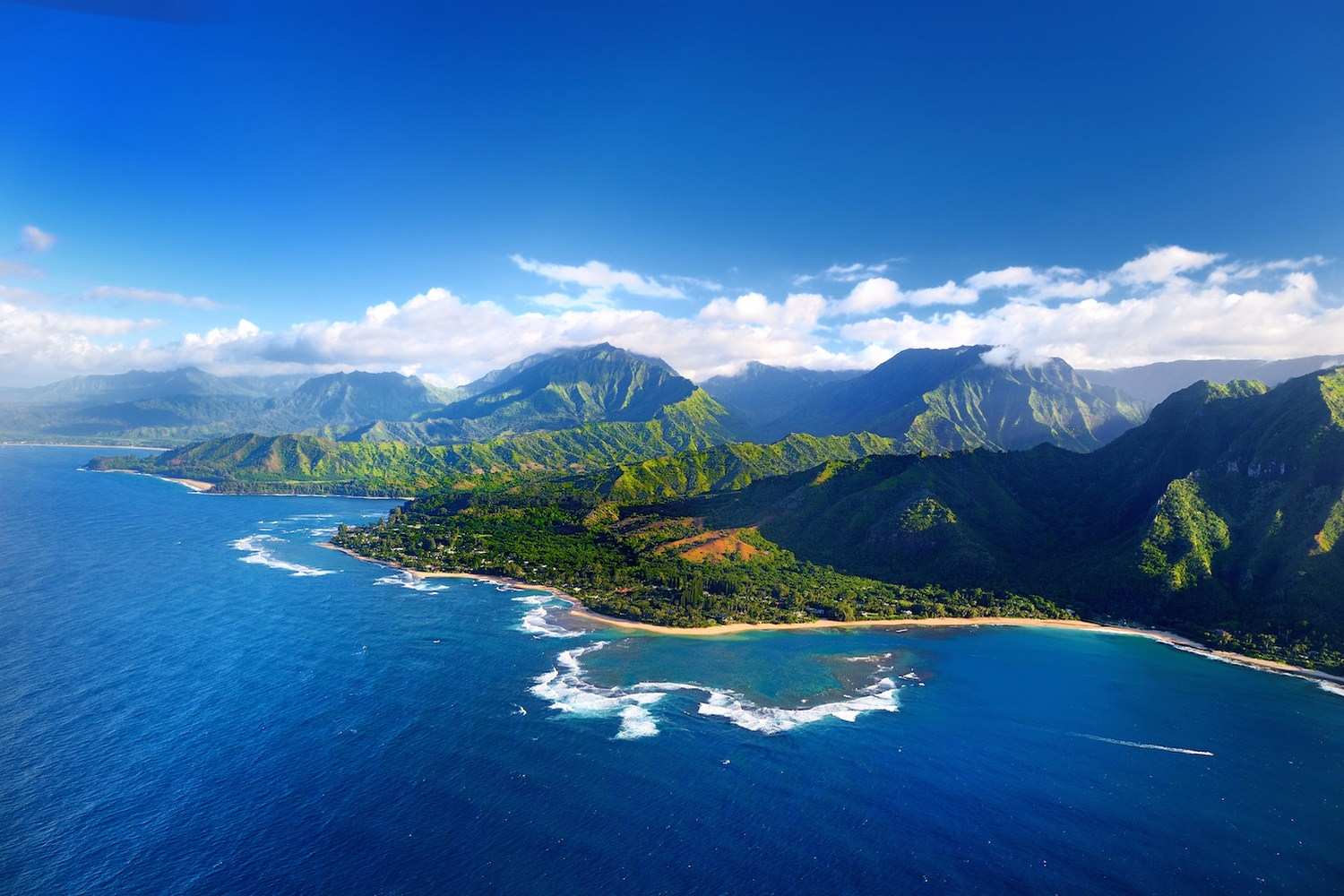 Learn Hawaiian Online - Level 1