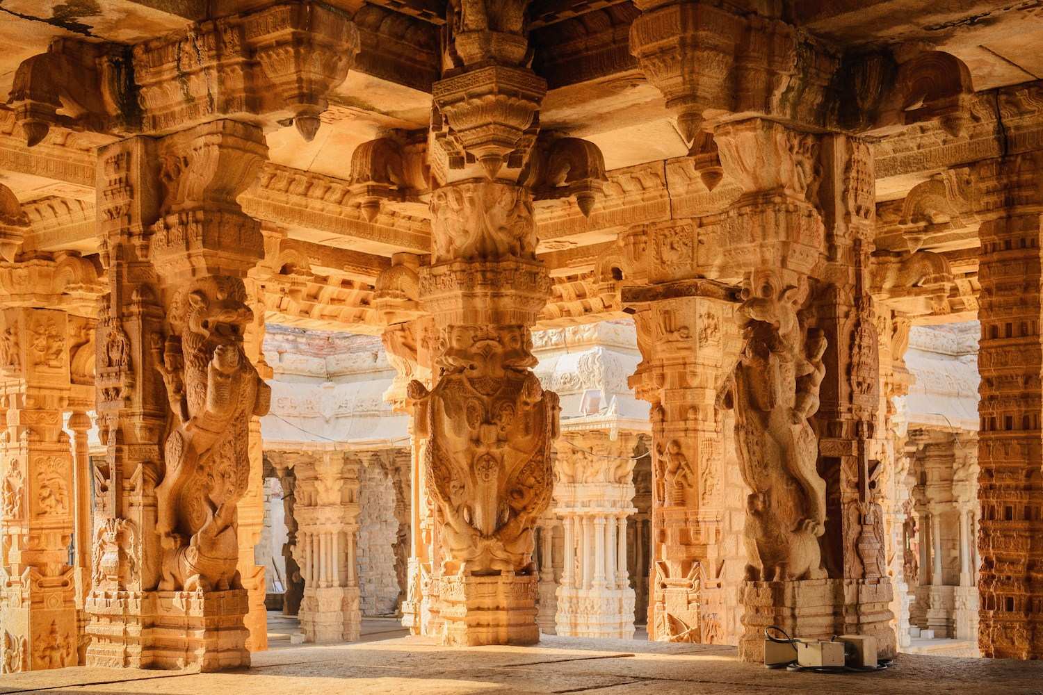 Learn Kannada Online - Level 2