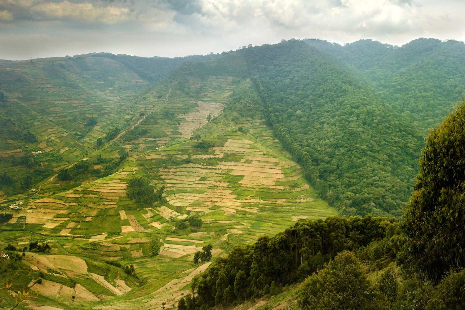 Learn Kinyarwanda Rwanda Online - Level 1