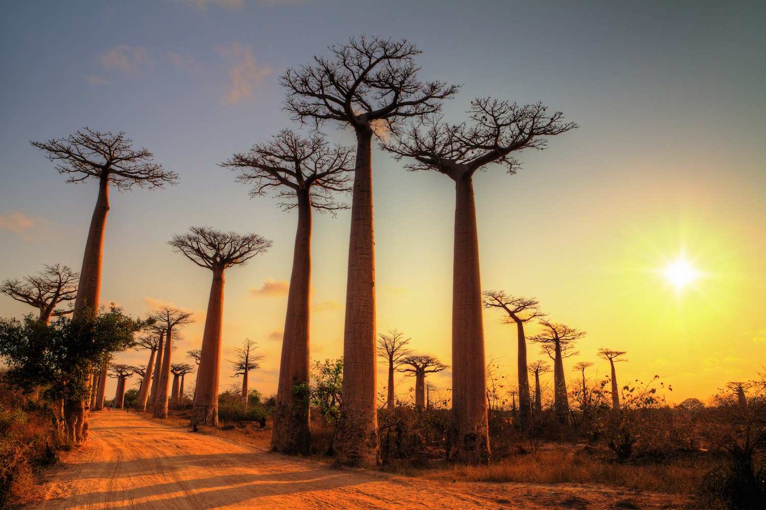 Learn Malagasy Online - Level 1