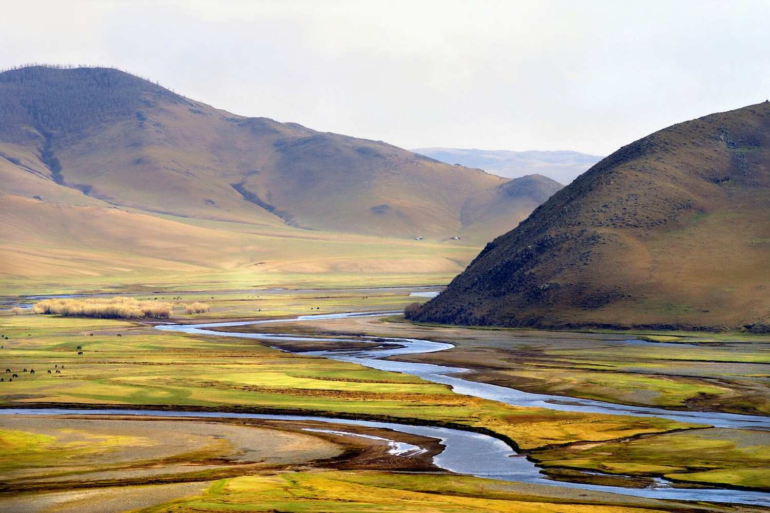 Learn Mongolian Online - Level 1